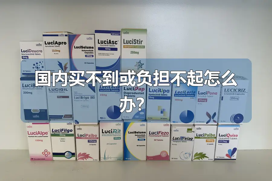 国内买不到或负担不起怎么办？